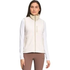 The North Face Cragmont Fleece Vest - Women's -Everlaces Cloth Shop GARWHIGRA